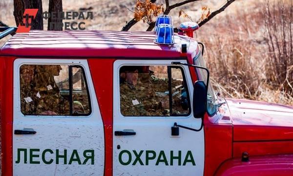 Свердловский министр запретил жителям 16 городов посещать лес: список