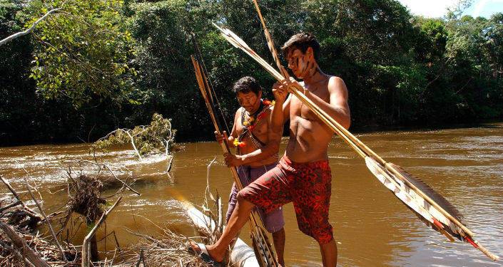Власти Бразилии уничтожают леса Амазонии - звезды Голливуда обратились к Байдену