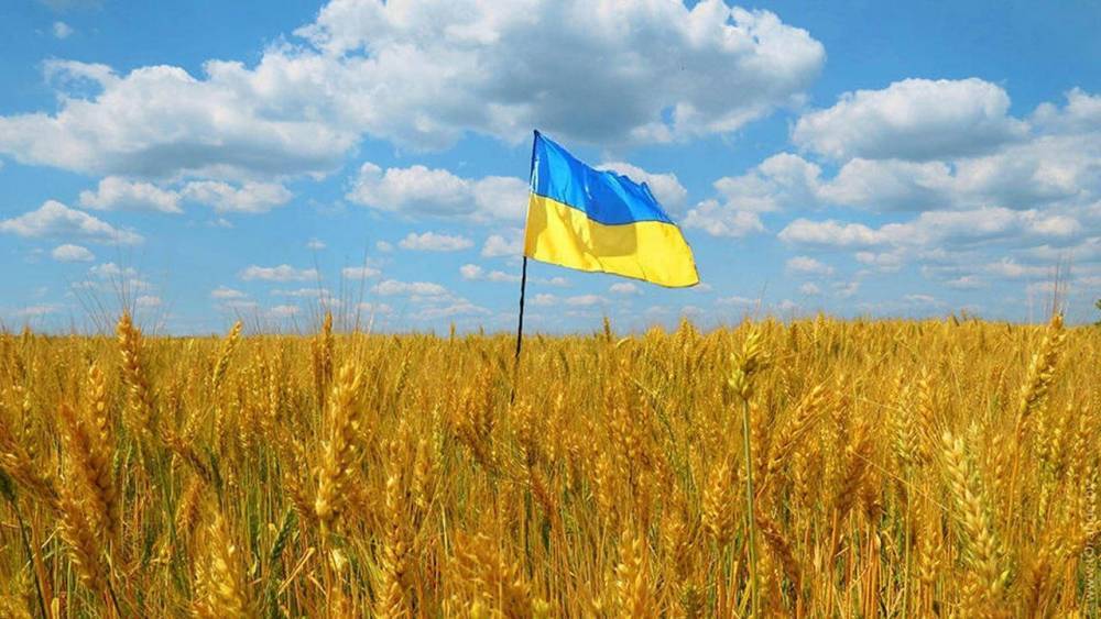 Кабмин Украины подготовил законопроект об отмене права на два бесплатных гектара земли