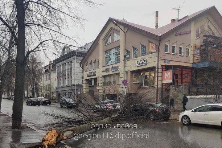 В Казани поваленное ветром дерево придавило авто