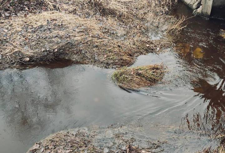 Сотрудники Госэконадзора выясняют источники загрязнения ручья в Тосно
