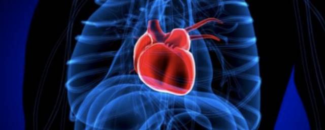 Австралийские ученые нашли метод лечения «синдрома разбитого сердца»