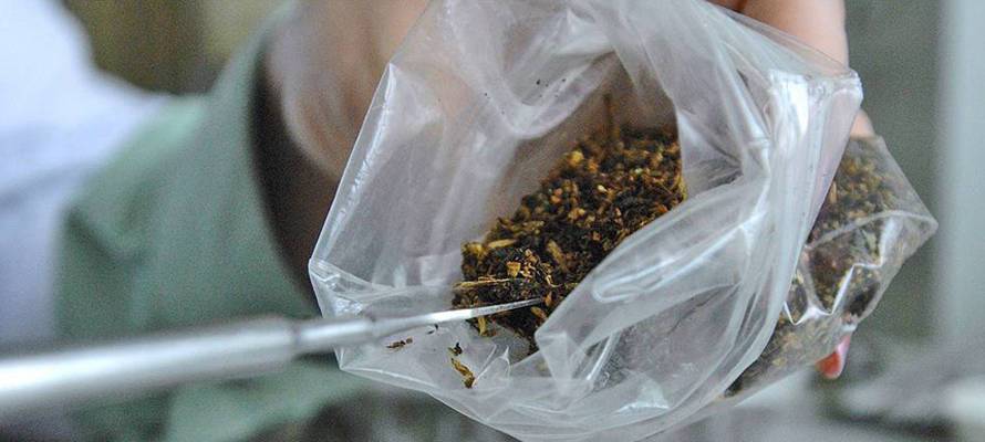 Жителю города горняков в Карелии грозит 10 лет колонии за 100 граммов курительных смесей
