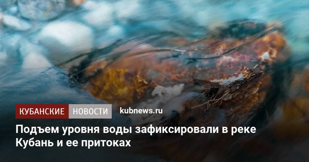 Подъем уровня воды зафиксировали в реке Кубань и ее притоках
