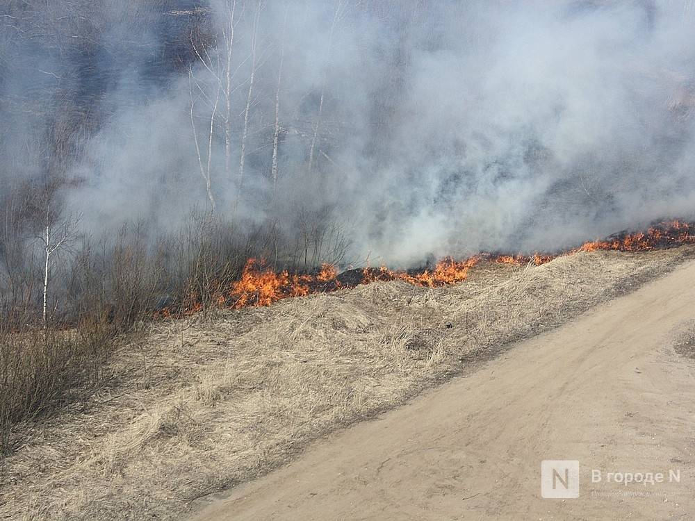 Названа главная причина горения сухой травы в Нижегородской области