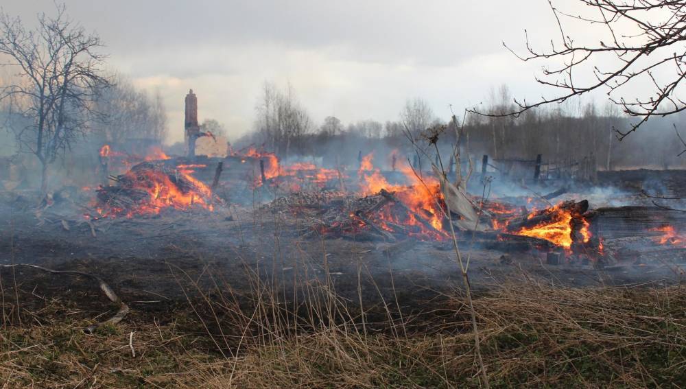 Деревня в Бельском районе Тверской области чуть не сгорела из-за пала травы