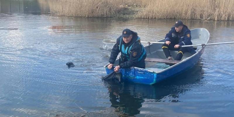 Михаила Зубчука нашли мертвым в озере в Тяжиловском микрорайоне Винницы - фото - ТЕЛЕГРАФ
