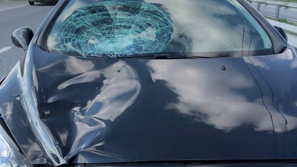 Водитель Peugeot сбила 12-летних детей: громкое ДТП произошло под Днепром – видео