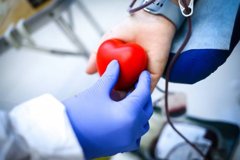 В Чехове с начала года заготовили более 64 литров донорской крови