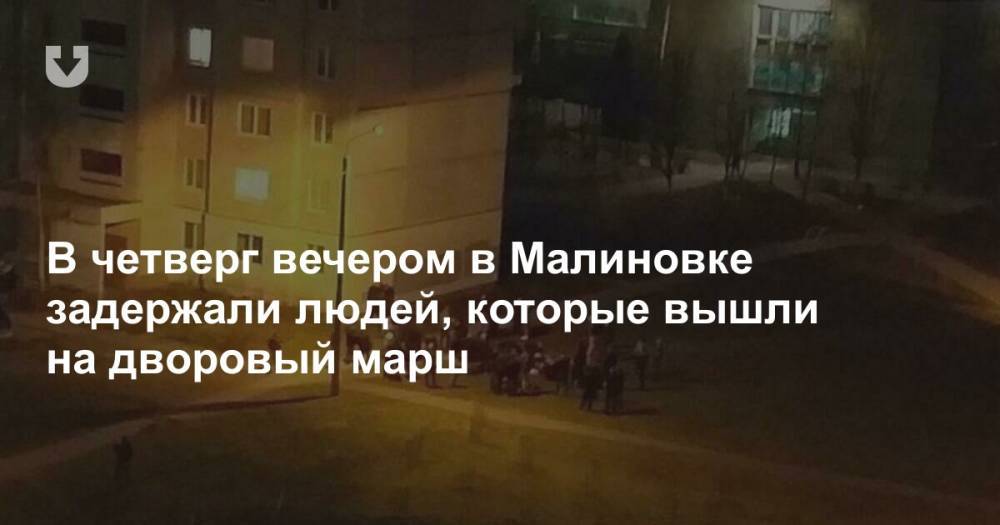 В четверг вечером в Малиновке задержали людей, которые вышли на дворовый марш