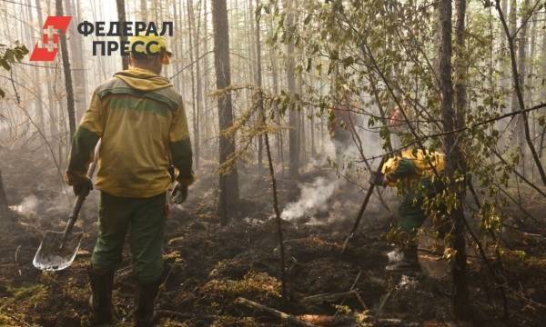 Омская область бьет рекорды по лесным пожарам и палам травы