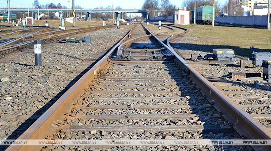 В Оршанском районе поезд сбил мужчину