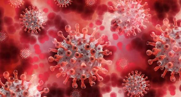 Учёные: Новый коронавирус поражает и щитовидную железу