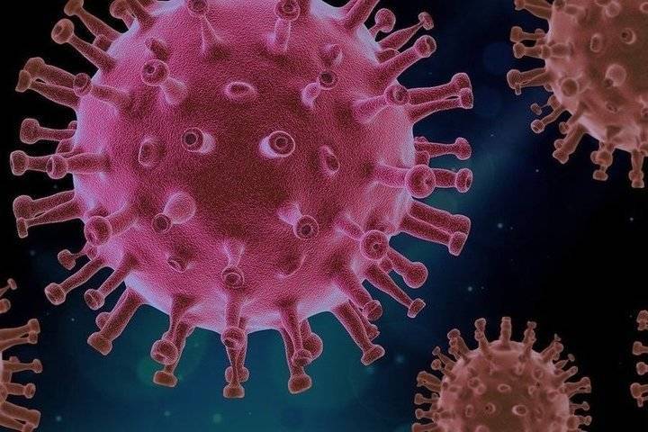 У 10 сотрудников нового ковид-очага в Псковской области выявили коронавирус
