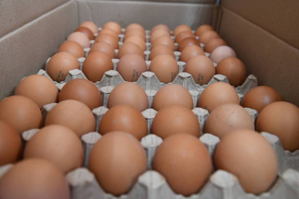 Врач развеял миф о вреде куриных яиц для печени