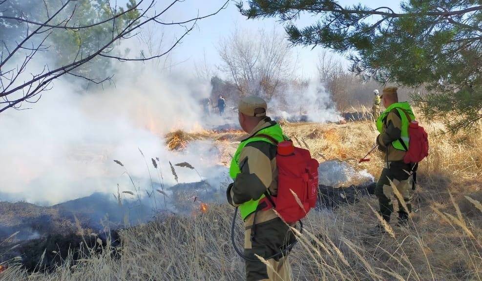 С начала сезона ульяновцы устроили 26 лесных пожаров