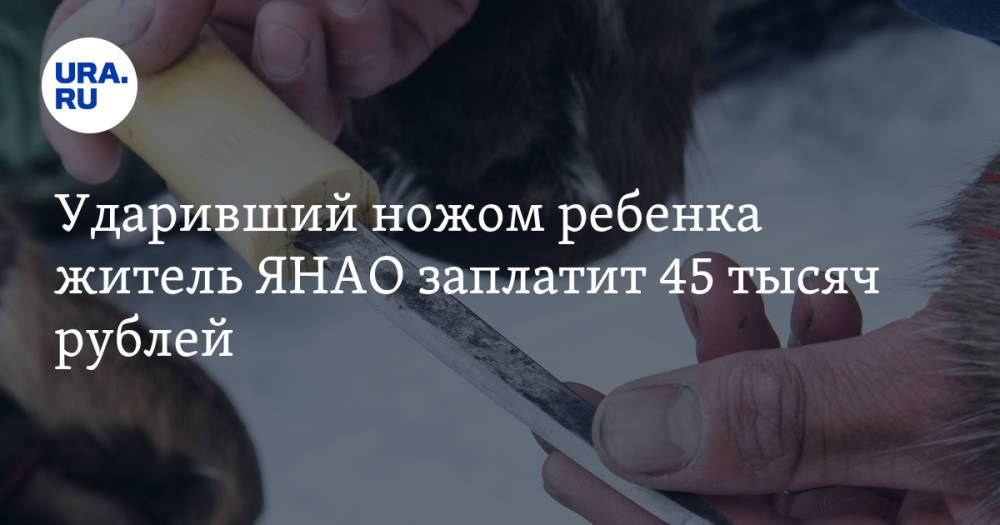 Ударивший ножом ребенка житель ЯНАО заплатит 45 тысяч рублей