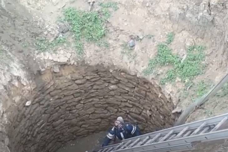 Четыре тела в колодце на Одесчине: в полиции назвали вероятную причину смерти