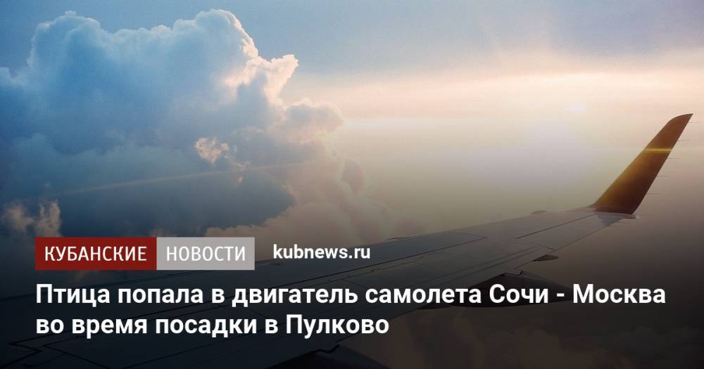 Птица попала в двигатель самолета Сочи - Петербург во время посадки в Пулково