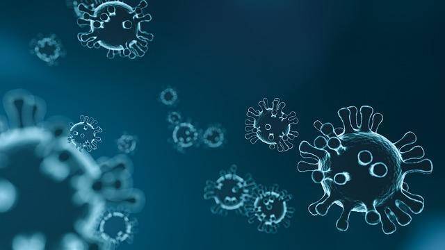 В 54 регионах России выявлены новые штаммы коронавируса