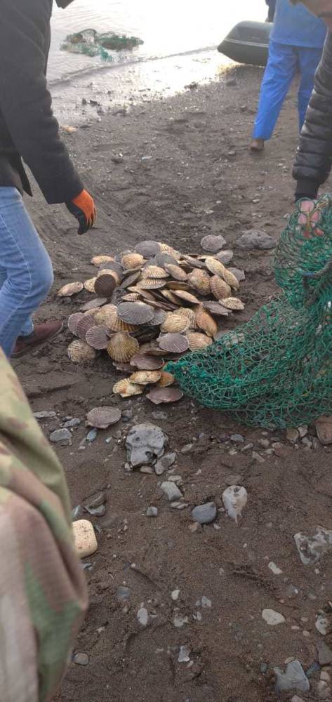 Водолазов-браконьеров поймали пограничники в Корсаковском районе