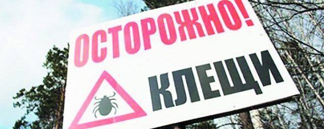 В Челябинской области запретили турпоходы детям, не привитым от клеща