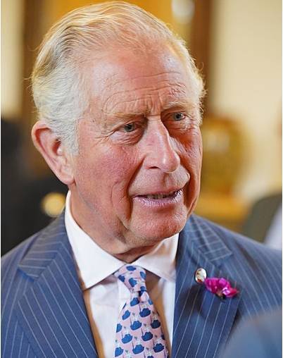 Принц Чарльз может лишить финансирования от королевского двора принца Гарри и Меган Маркл