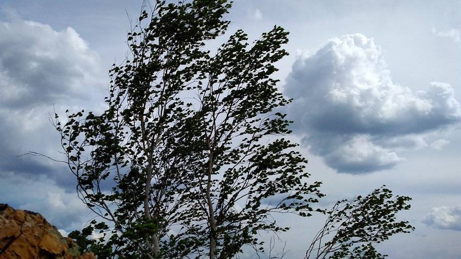 В Башкирии вновь объявлено штормовое предупреждение из-за сильного ветра