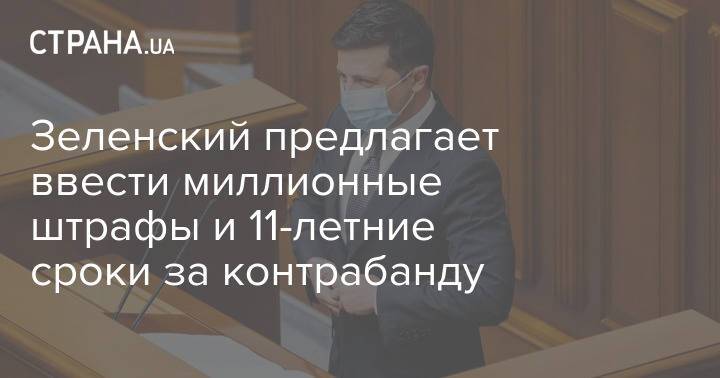 Зеленский предлагает ввести миллионные штрафы и 11-летние сроки за контрабанду