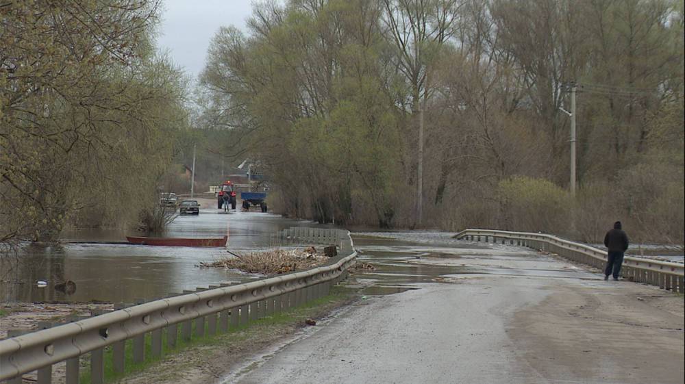 По затопленному мосту под Воронежем спустя неделю возобновили движение