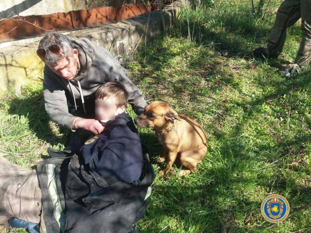 Спасая собаку, мужчина и ребенок оказались в резервуаре с водой: история с хеппи-эндом
