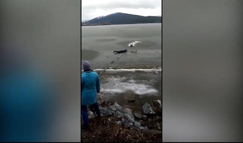 Житель Белорецка прополз по тонкому льду водоема, чтобы спасти собаку