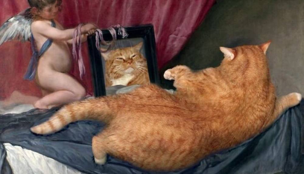 Мона Лиза с котиком: художница добавляет своего толстого кота на знаменитые картины – фото