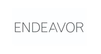Endeavor Group Holdings, Inc. - IPO медиахолдинга, владеющего UFC