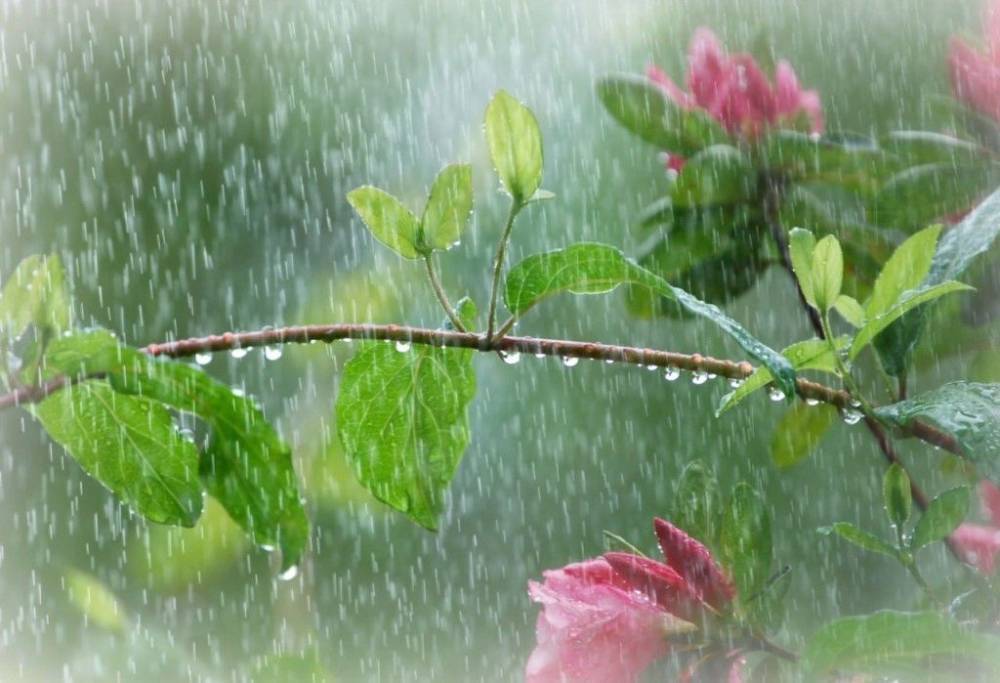 Синоптик сообщила, в каких регионах завтра пройдут дожди с грозами