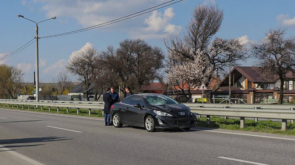 Мальчик умер так и не выйдя из комы: авария с водителем Peugeot на Днепропетровщине