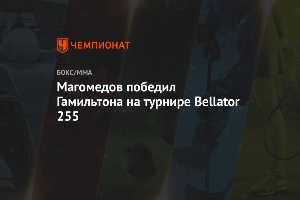 Магомедов победил Гамильтона на турнире Bellator 255