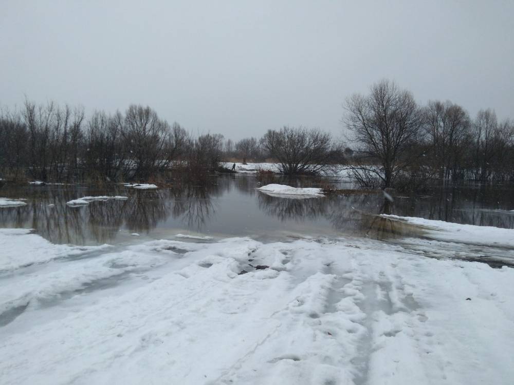 Низководный мост затопило в Починковском районе