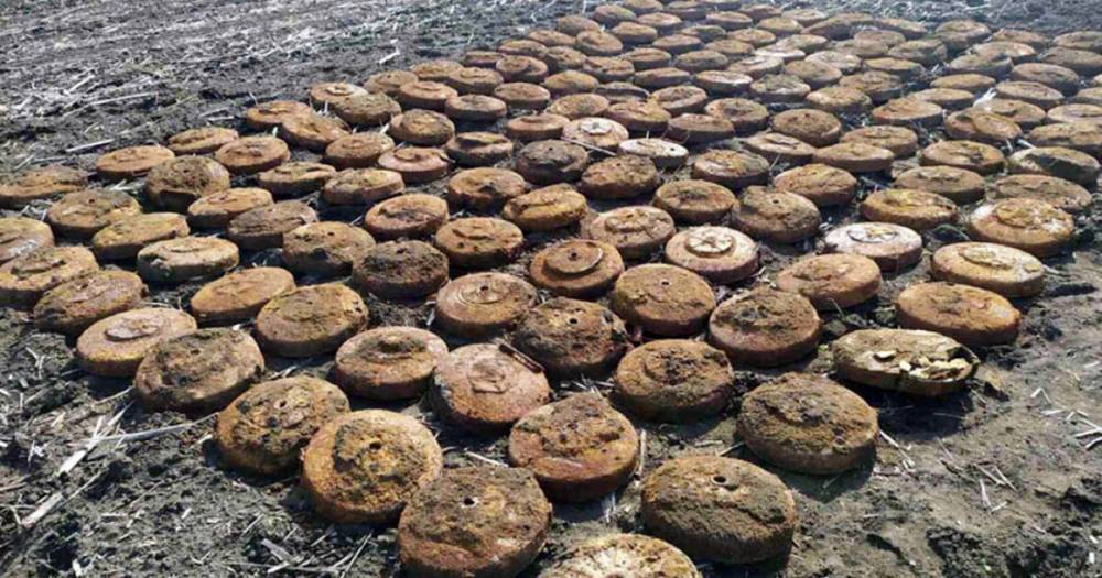 На Днепропетровщине в поле нашли почти 400 старых мин (ФОТО, ВИДЕО)