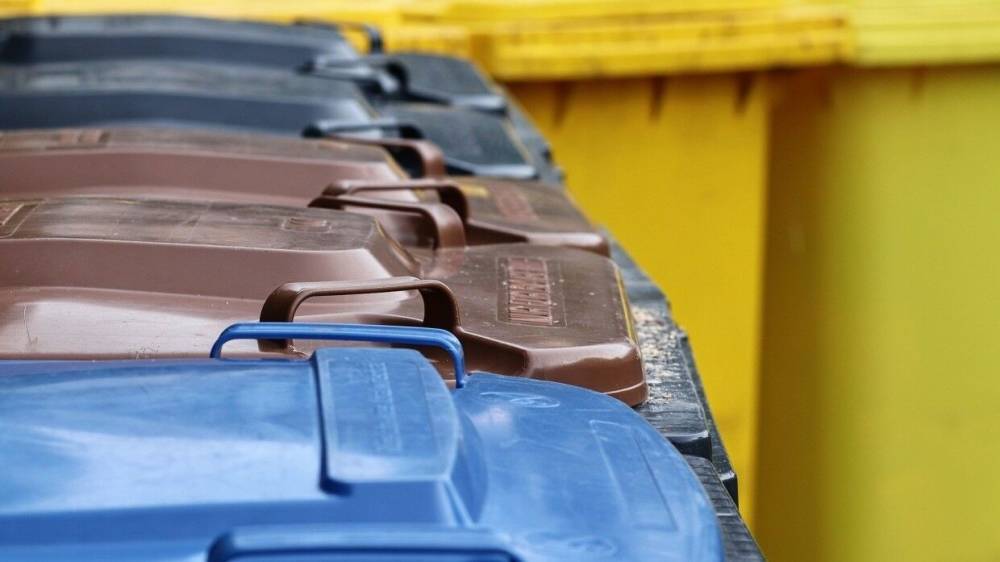 Москва возглавила рейтинг регионов РФ по внедрению раздельного сбора отходов