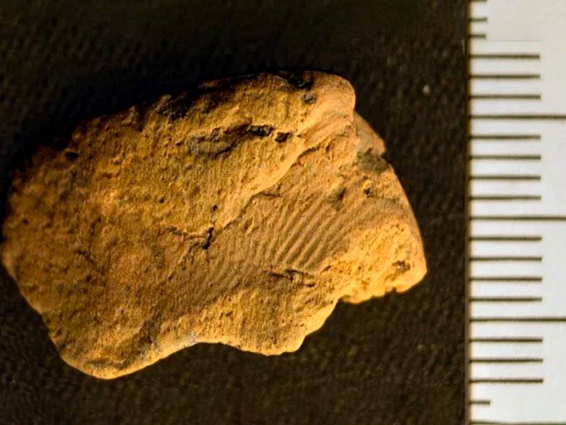 Пять тысяч лет назад гончар с Оркнейских островов оставил отпечаток пальца на сосуде