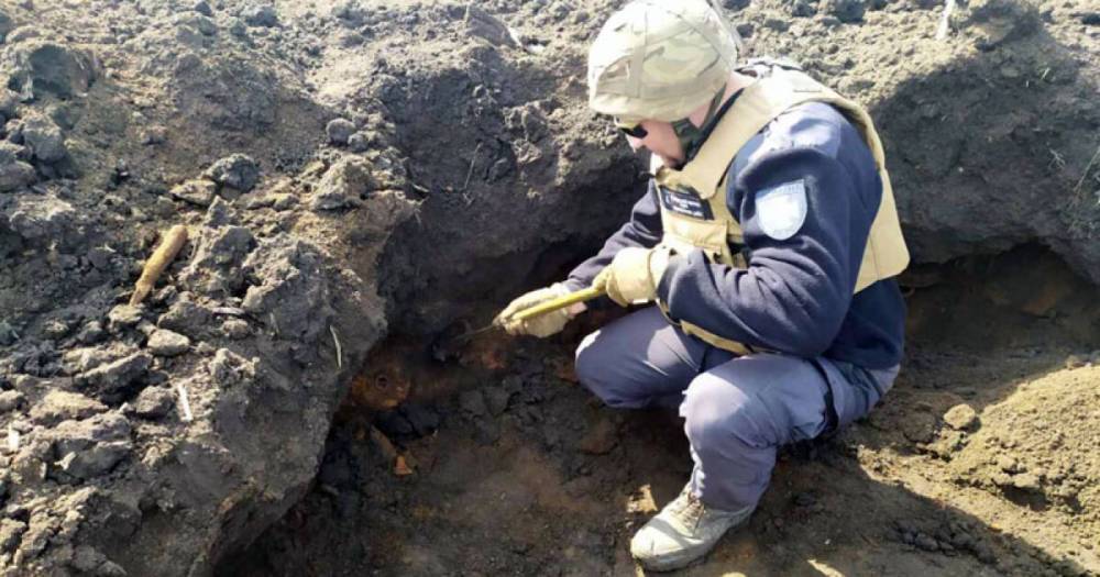 Житель Днепропетровщины нашел в поле 375 противотанковых мин (ФОТО)