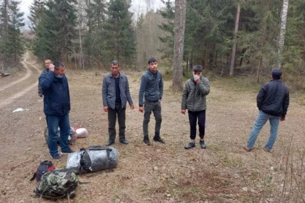 Выходцы из Азии пытались незаконно пересечь границу в Псковской области