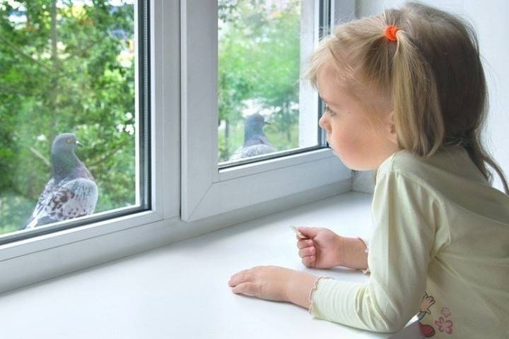 Семилетняя девочка выпала из окна жилого дома в центре Новосибирска