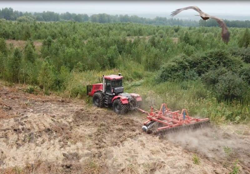 В Смоленской области почти 700 гектаров земли вовлекли в сельскохозяйственный оборот