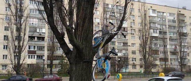У Києві ще один прокатний велосипед оригінально “припаркували”. Цього разу вчепили на дереві