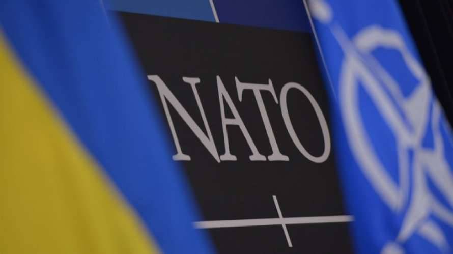 Зеленскому объяснили, почему Украина до сих пор не член НАТО