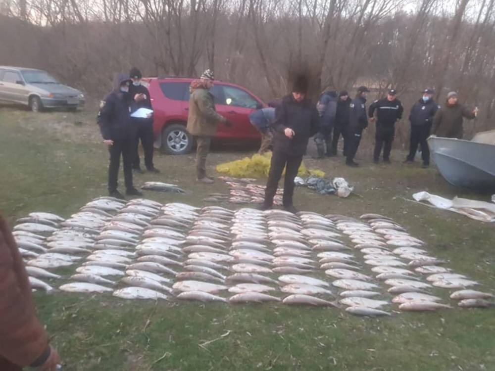 Ущерб почти на 1,7 миллиона: на Буковине задержали 2 браконьеров рыбы