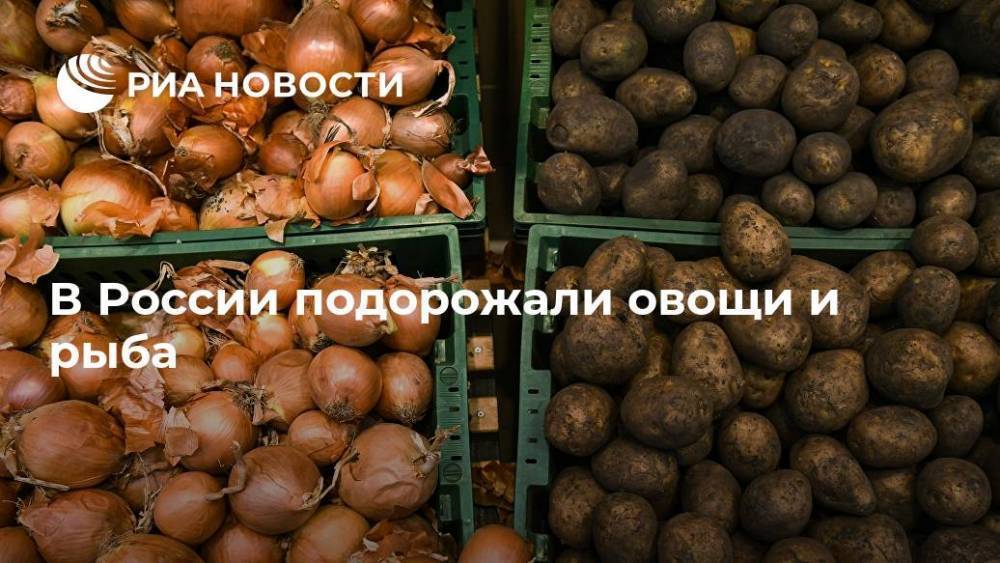 В России подорожали овощи и рыба