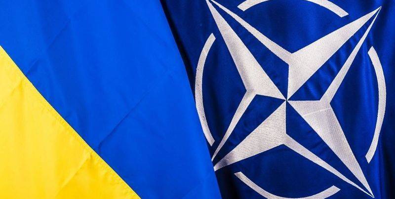 В США рассказали, кто будет принимать решение о вступлении Украины в НАТО - ТЕЛЕГРАФ